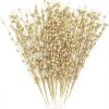 * Joiedomi 24Pcs Gold Christmas Tree Berry Stems 20In | Christmas Ornaments